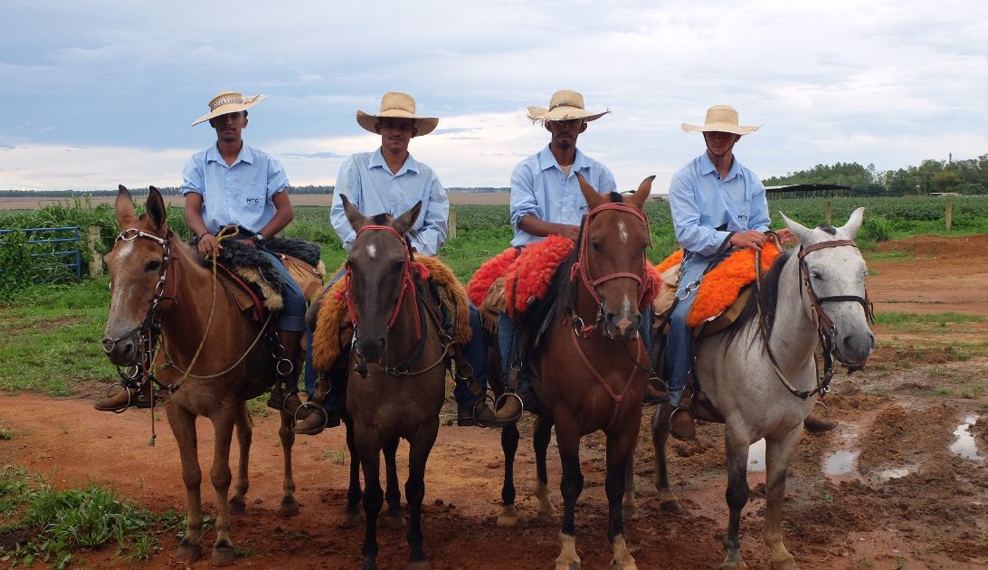 Landwirt auf dem Pferd in Brasilien