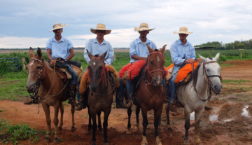 Landwirt auf dem Pferd in Brasilien