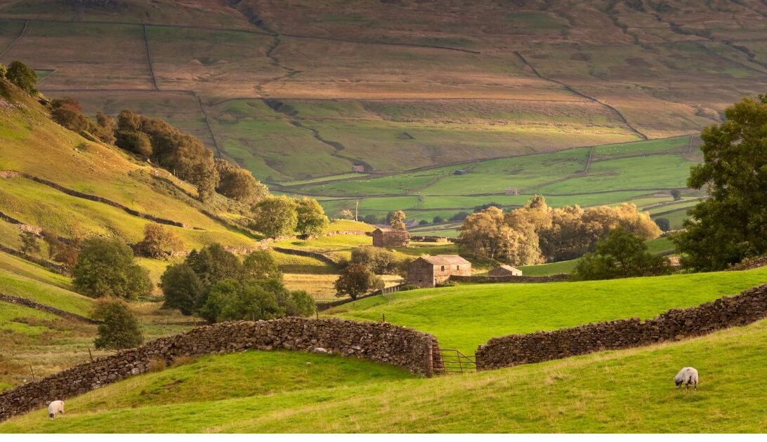 Foto von malerischer Heckenlandschaft in England.