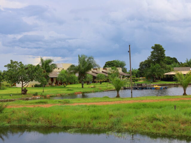 Pantanal